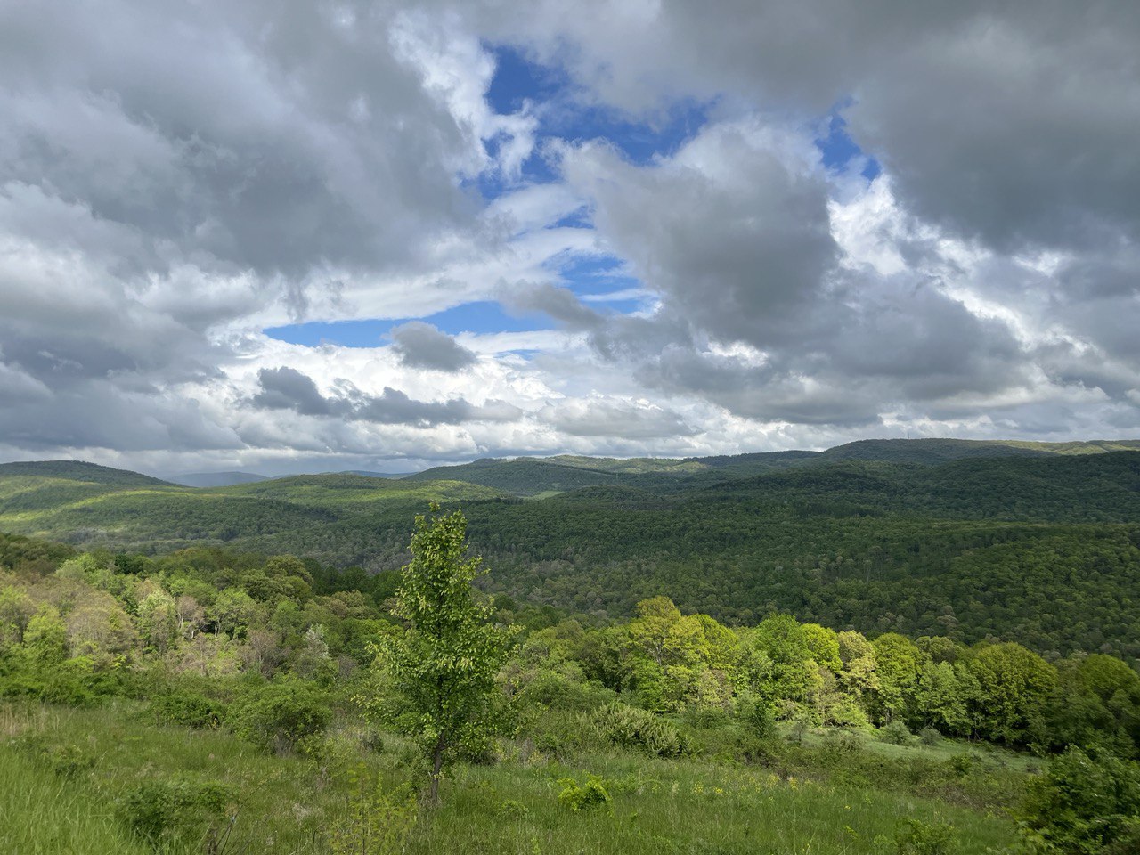 Landscape along the way